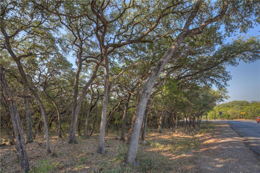 New Braunfels, TX 78132,1598 River RD