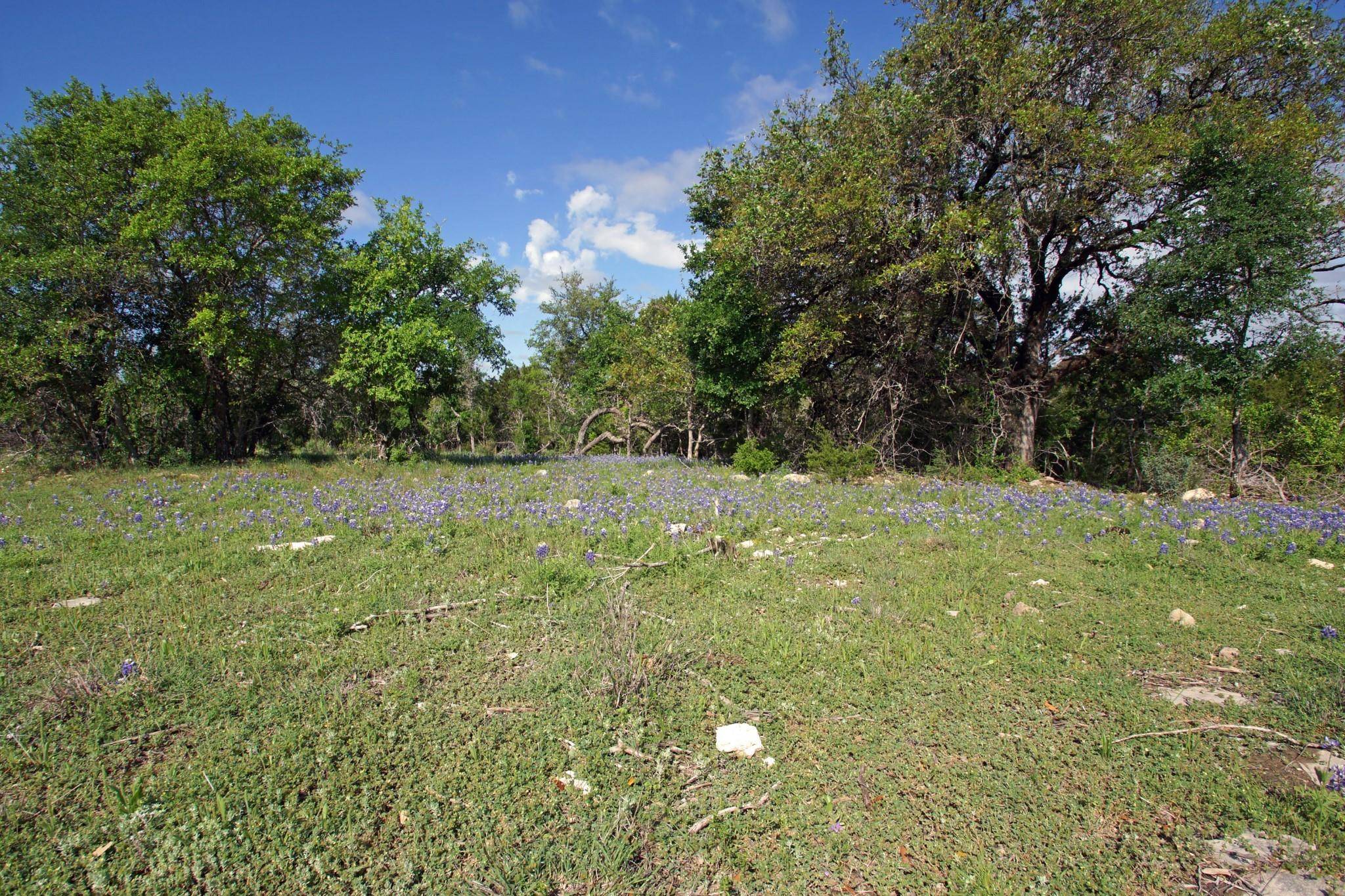 Briggs, TX 78608,Lot 48 Bridget CT