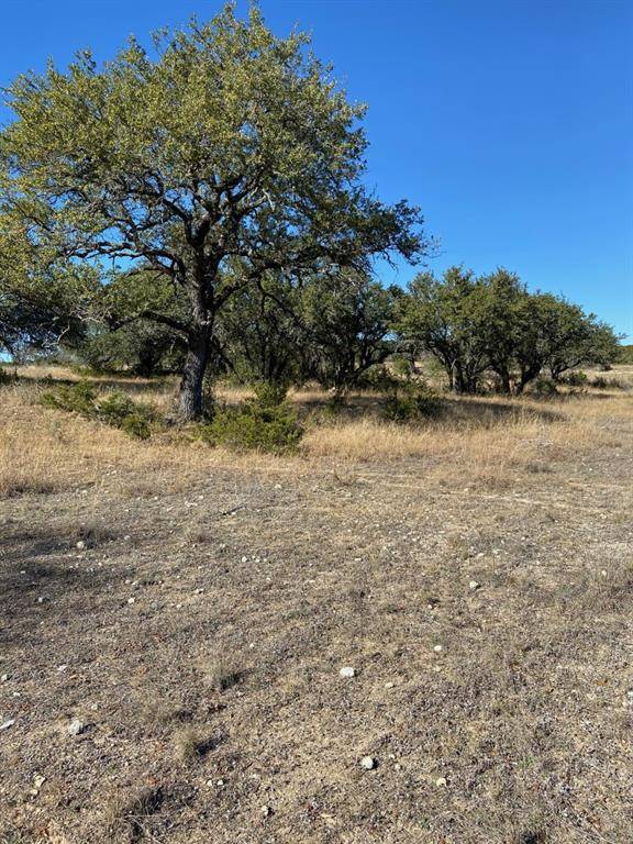 Kempner, TX 76539,Lot 199 Private Road 4718