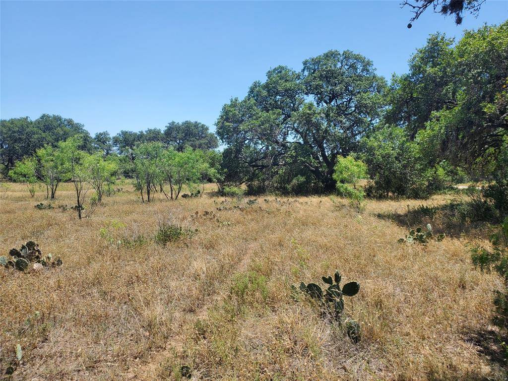 Johnson City, TX 78636,Lot 2 Mesquite RD