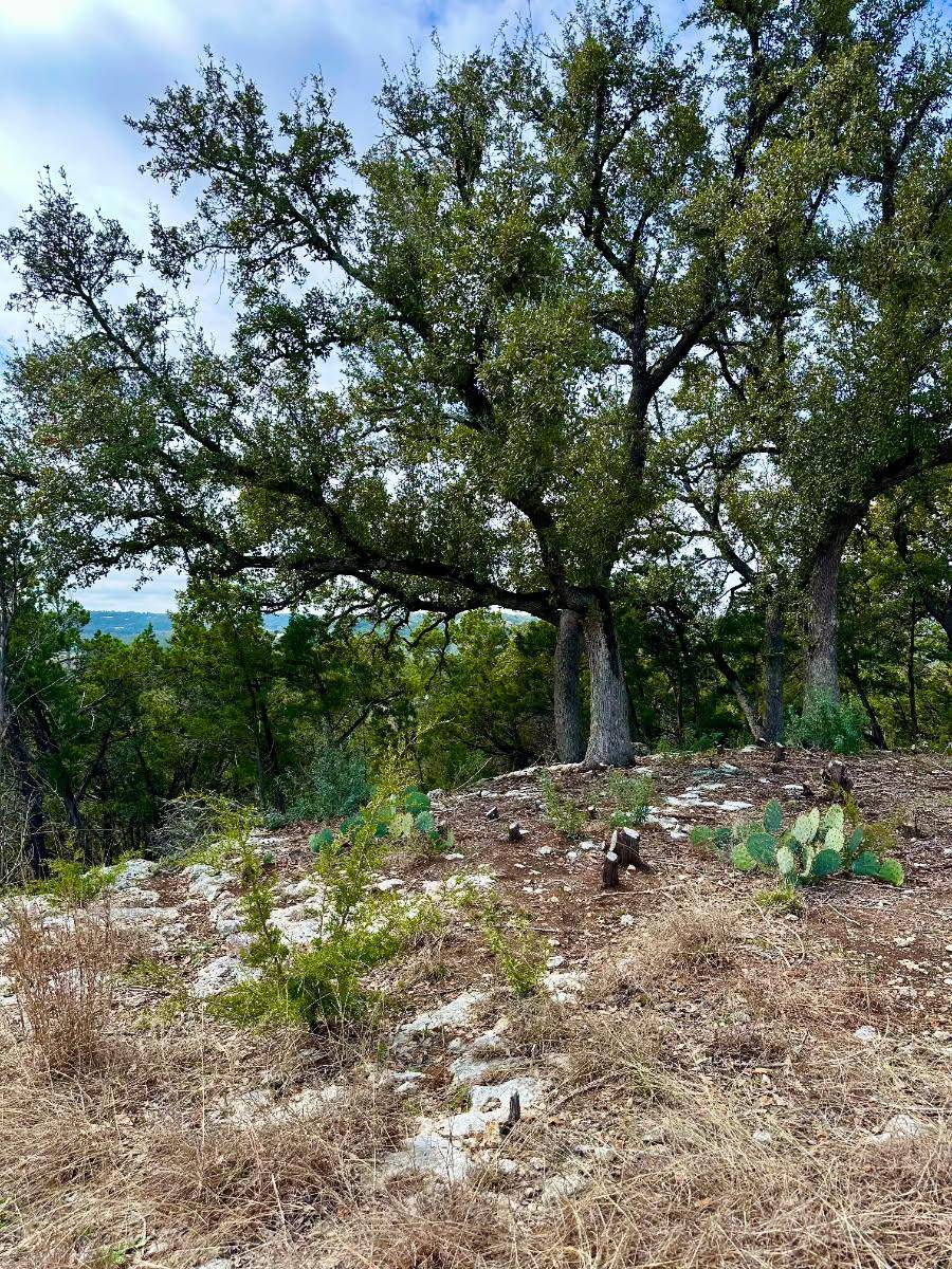 Spring Branch, TX 78070,795 Cimarron