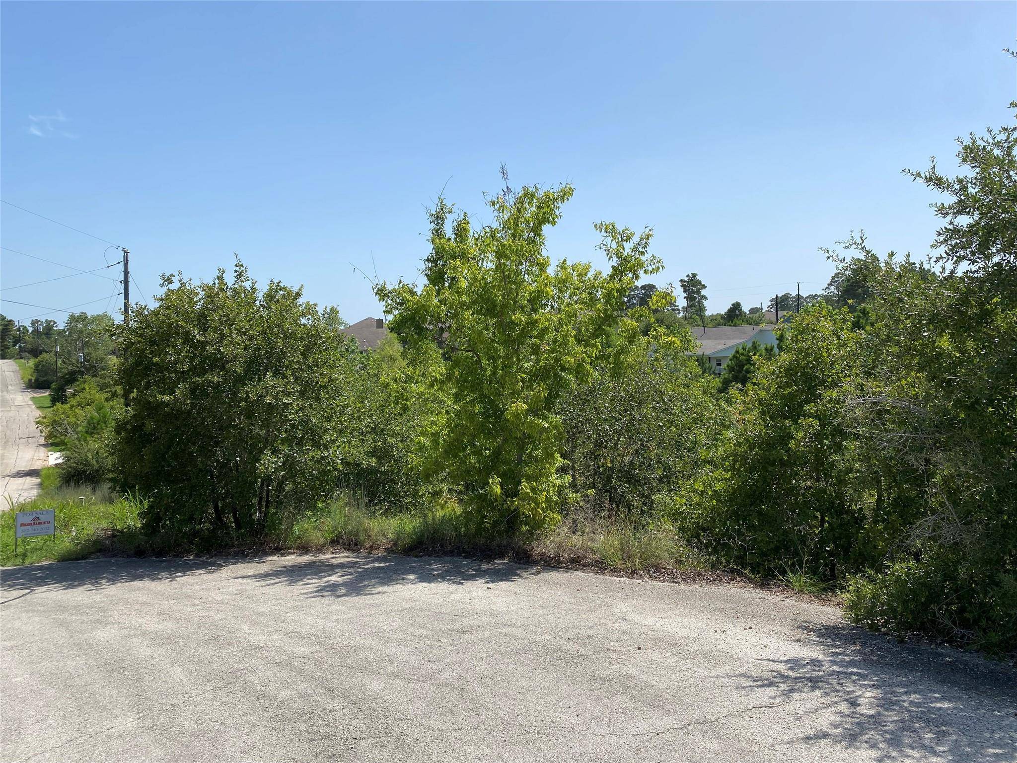 Bastrop, TX 78602,LOT 455 Hawea CT