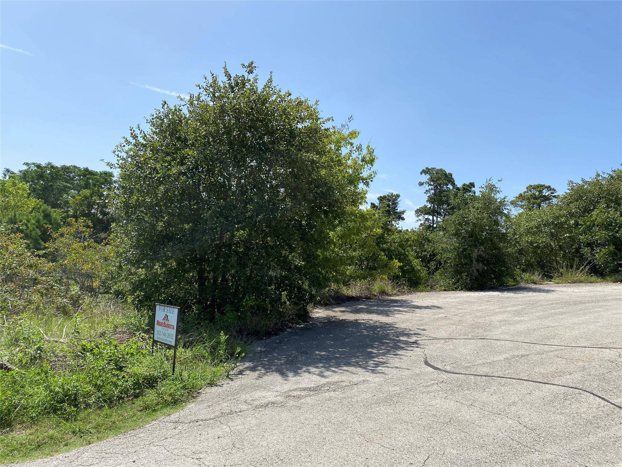 Bastrop, TX 78602,LOT 455 Hawea CT