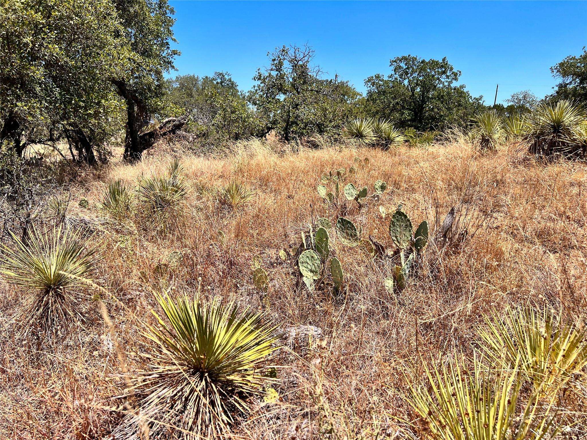 Granite Shoals, TX 78654,Lots 320-323 TBD W. Castlebriar DR