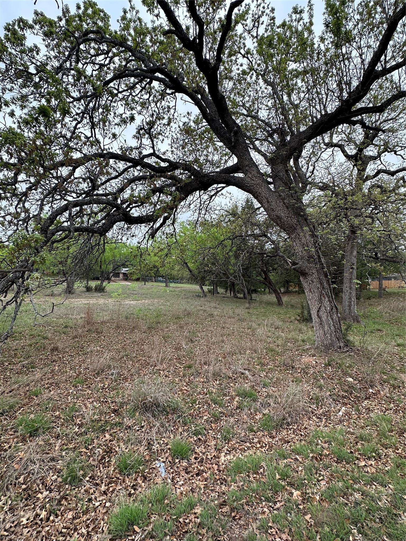 Cottonwood Shores, TX 78657,Lots 159-161 Driftwood LN