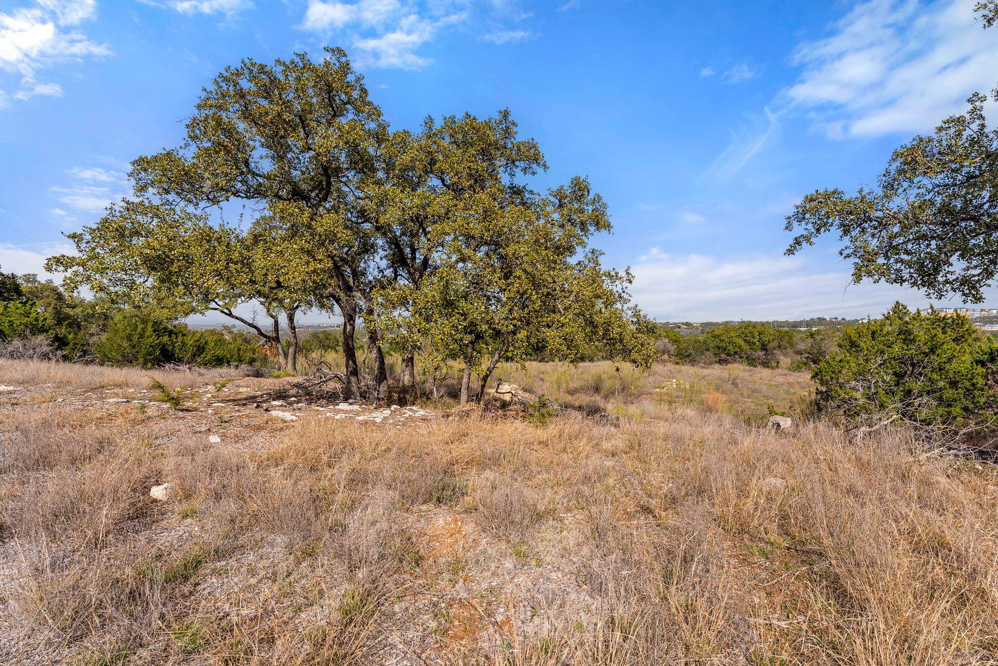 Spicewood, TX 78669,19504 Single Peak CV