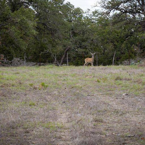 Fredericksburg, TX 78624,474 Inspiration LOOP