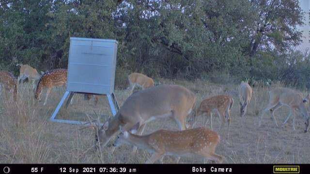 Brady, TX 76825,TBD 87 HWY