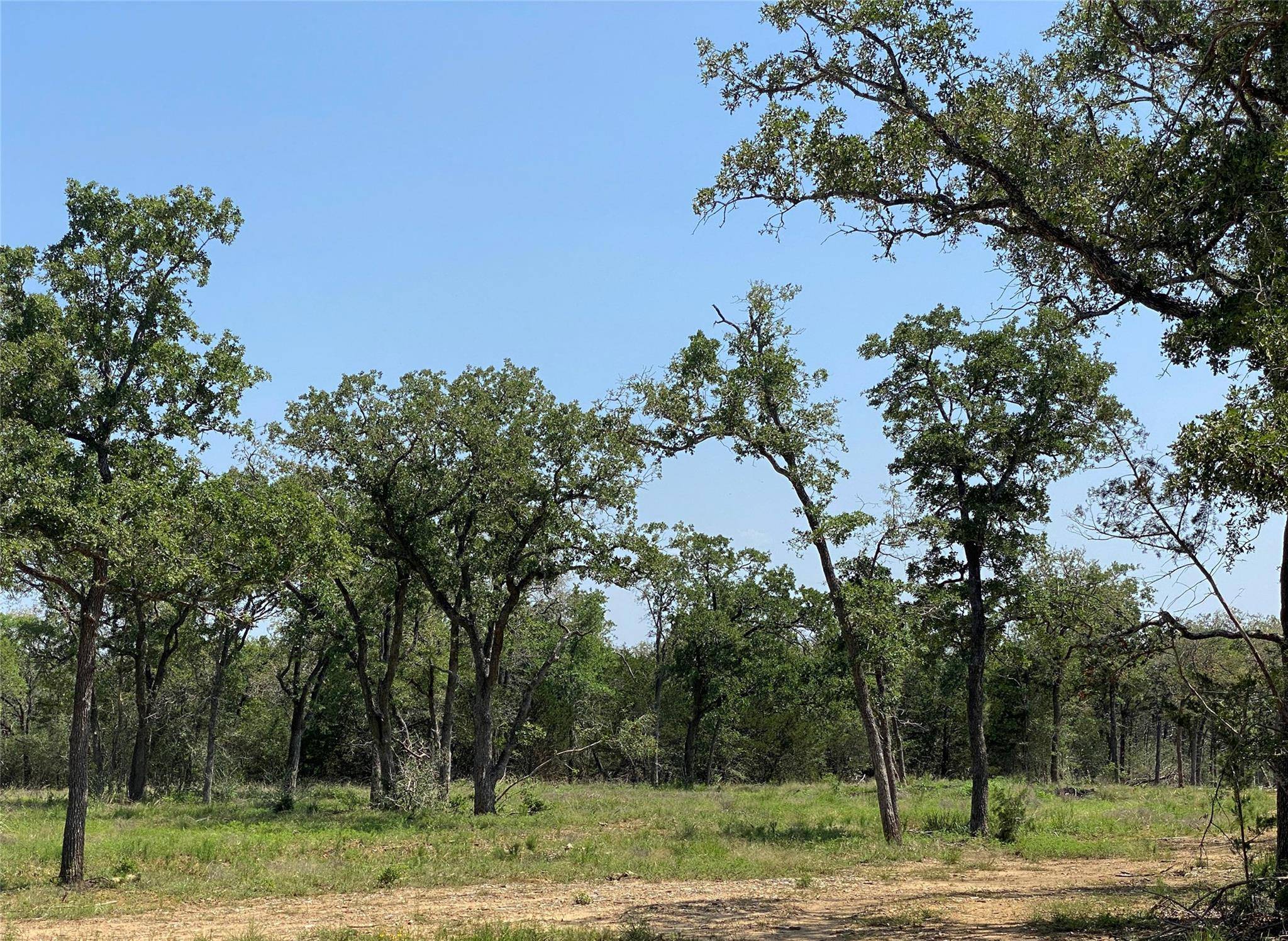 Smithville, TX 78957,TBD High Crossing Rd - T7 T8