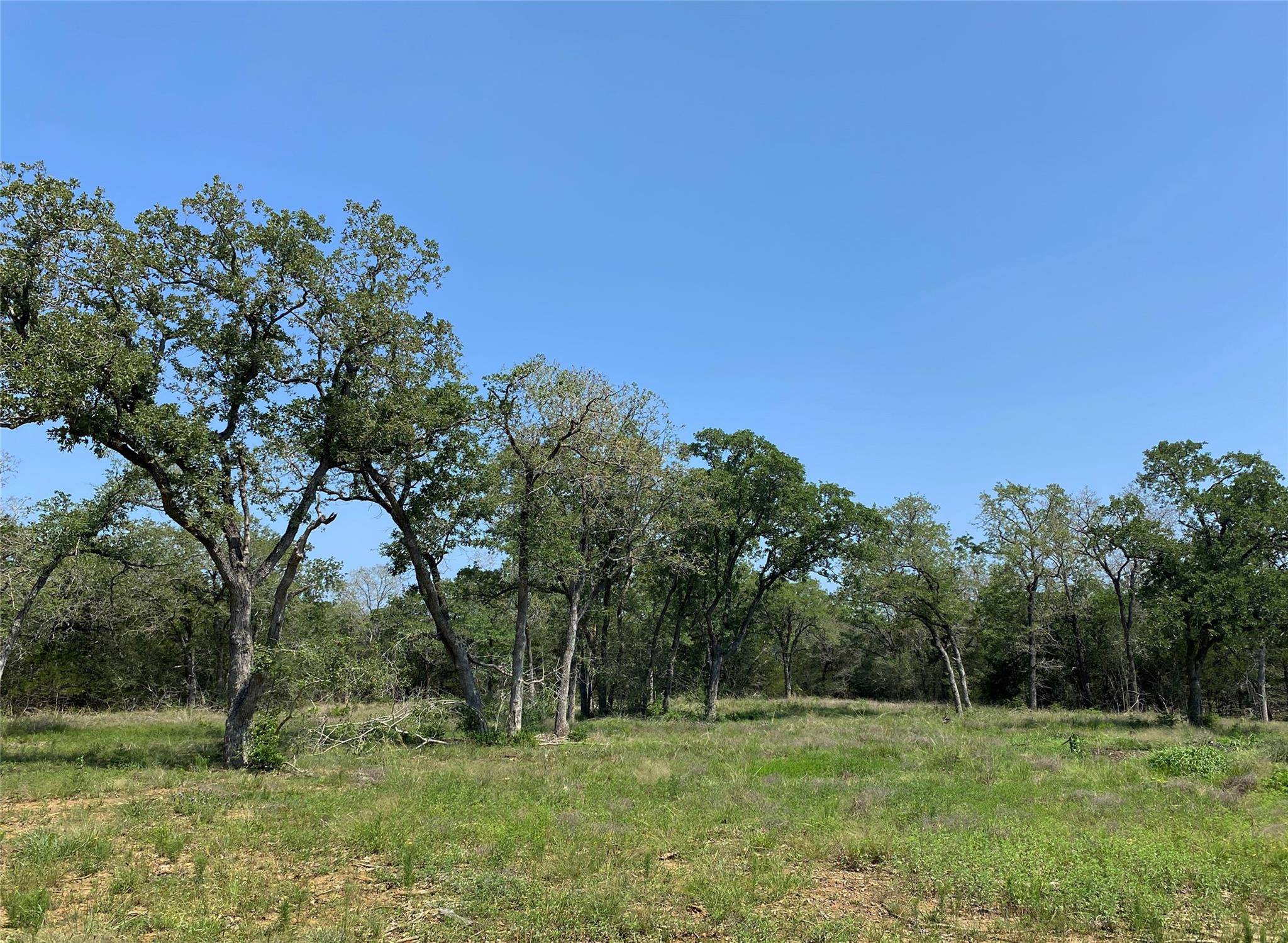 Smithville, TX 78957,TBD High Crossing Rd - T7 T8