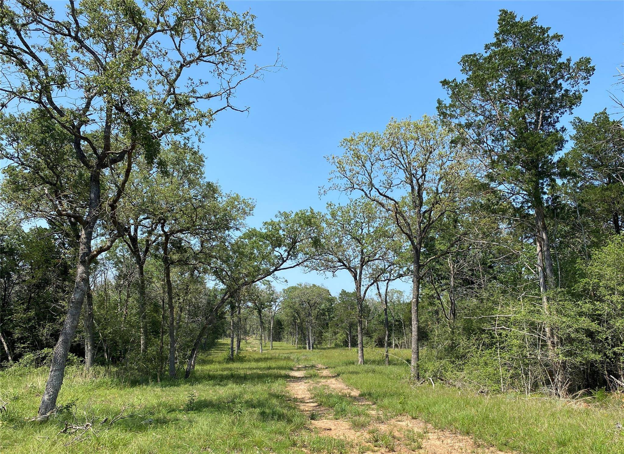 Smithville, TX 78957,TBD High Crossing Rd - T7 T8