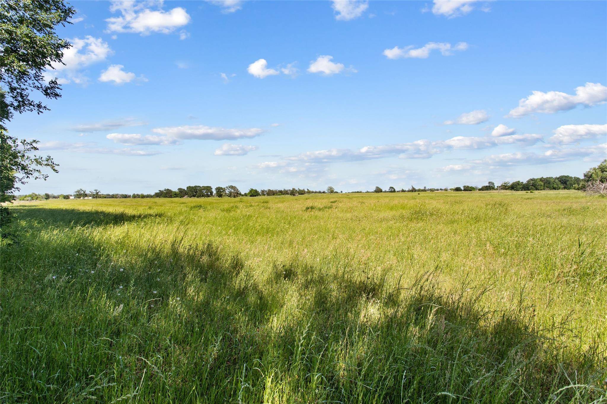 Giddings, TX 78942,TBD (Tract 1) FM 2239