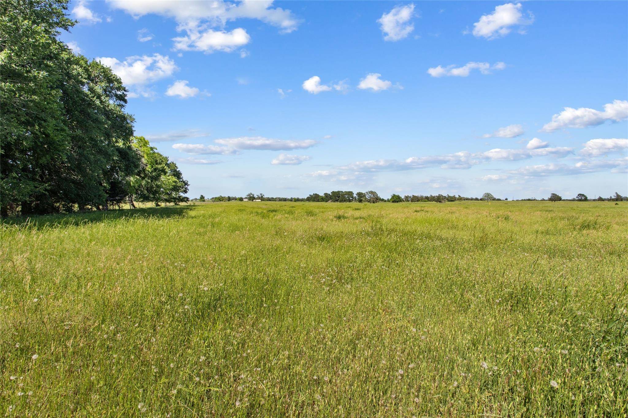Giddings, TX 78942,TBD (Tract 1) FM 2239