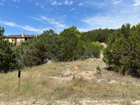 Spicewood, TX 78669,314 Alloway DR