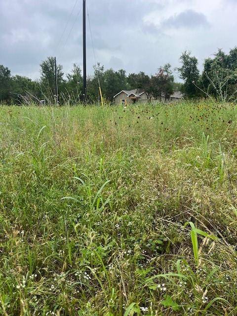 Bastrop, TX 78602,Lot 442 E Pauwela LN