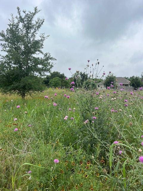 Bastrop, TX 78602,Lot 442 E Pauwela LN