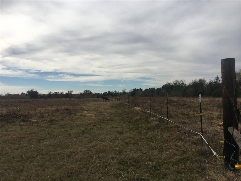 Cedar Creek, TX 78612,TBD Donlee DR