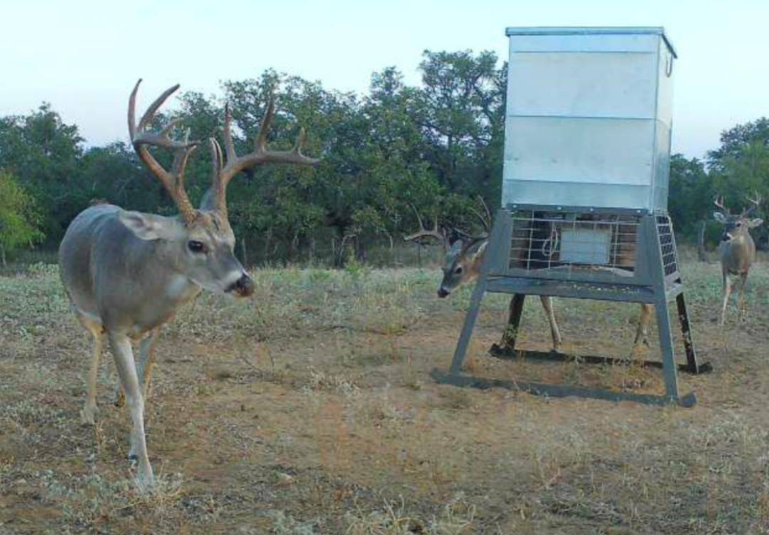 Mason, TX 76820,Address not disclosed