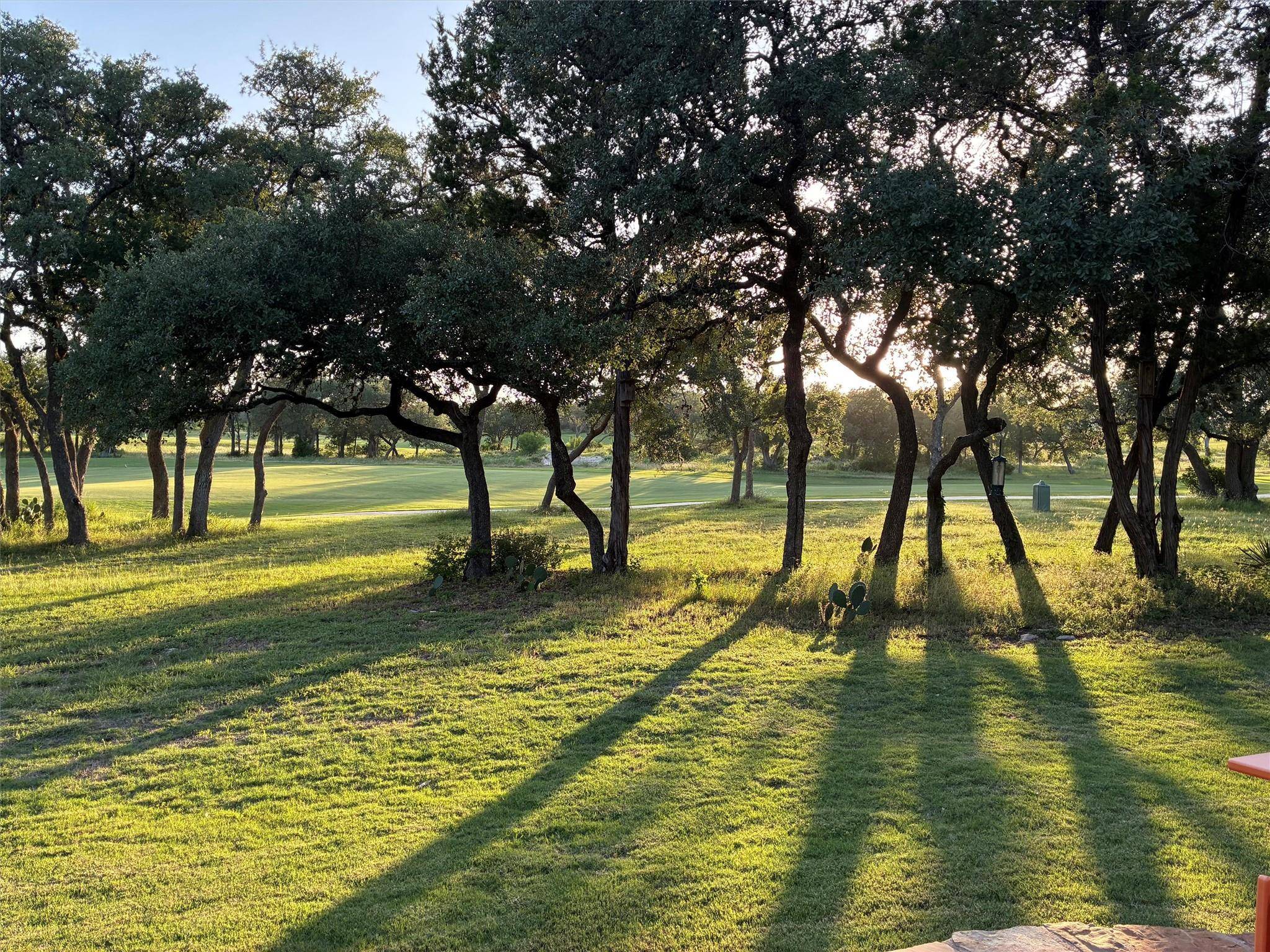 San Marcos, TX 78666,233 Leaping Holly ST