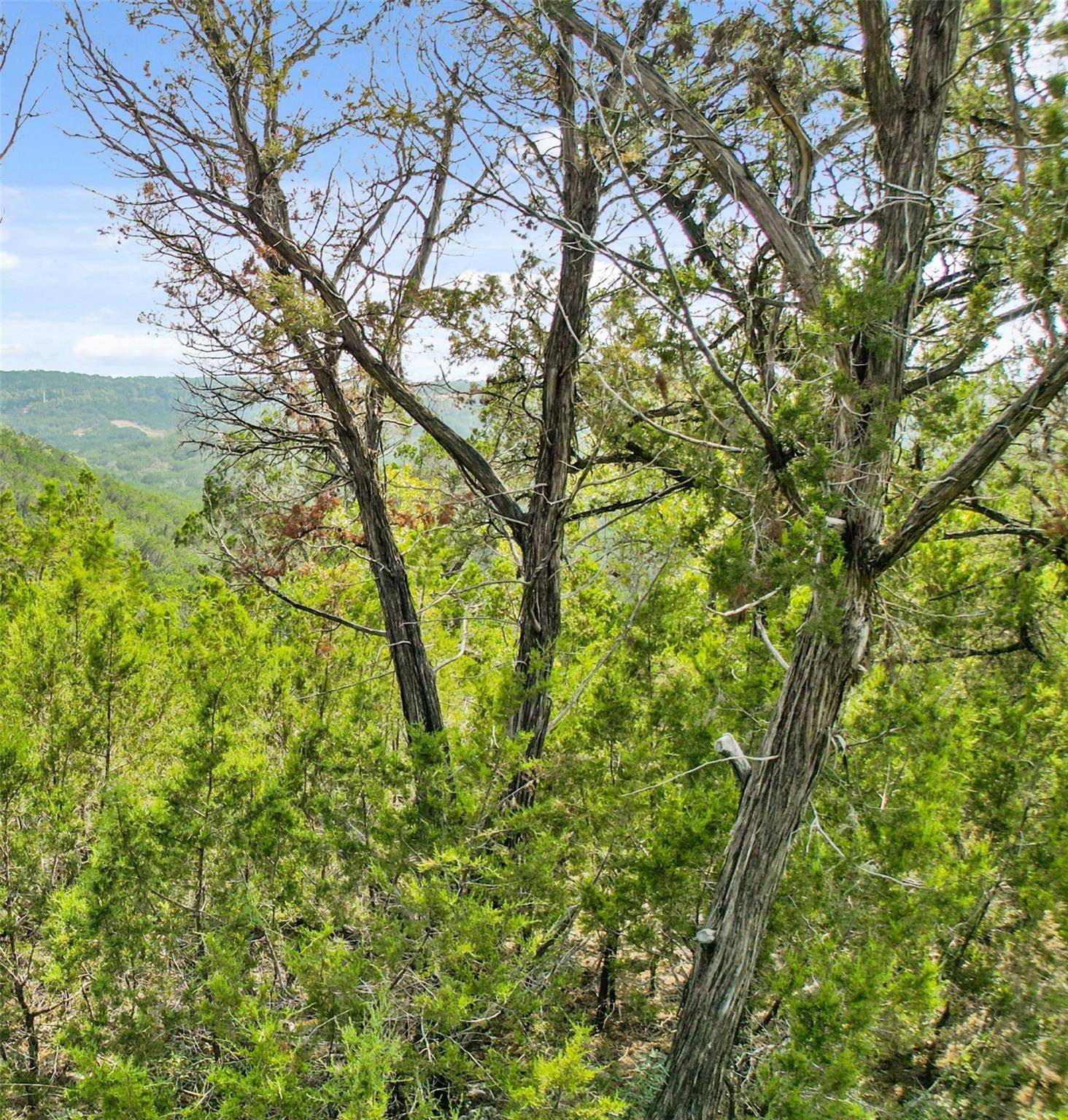 Lago Vista, TX 78645,21105 Bison TRL