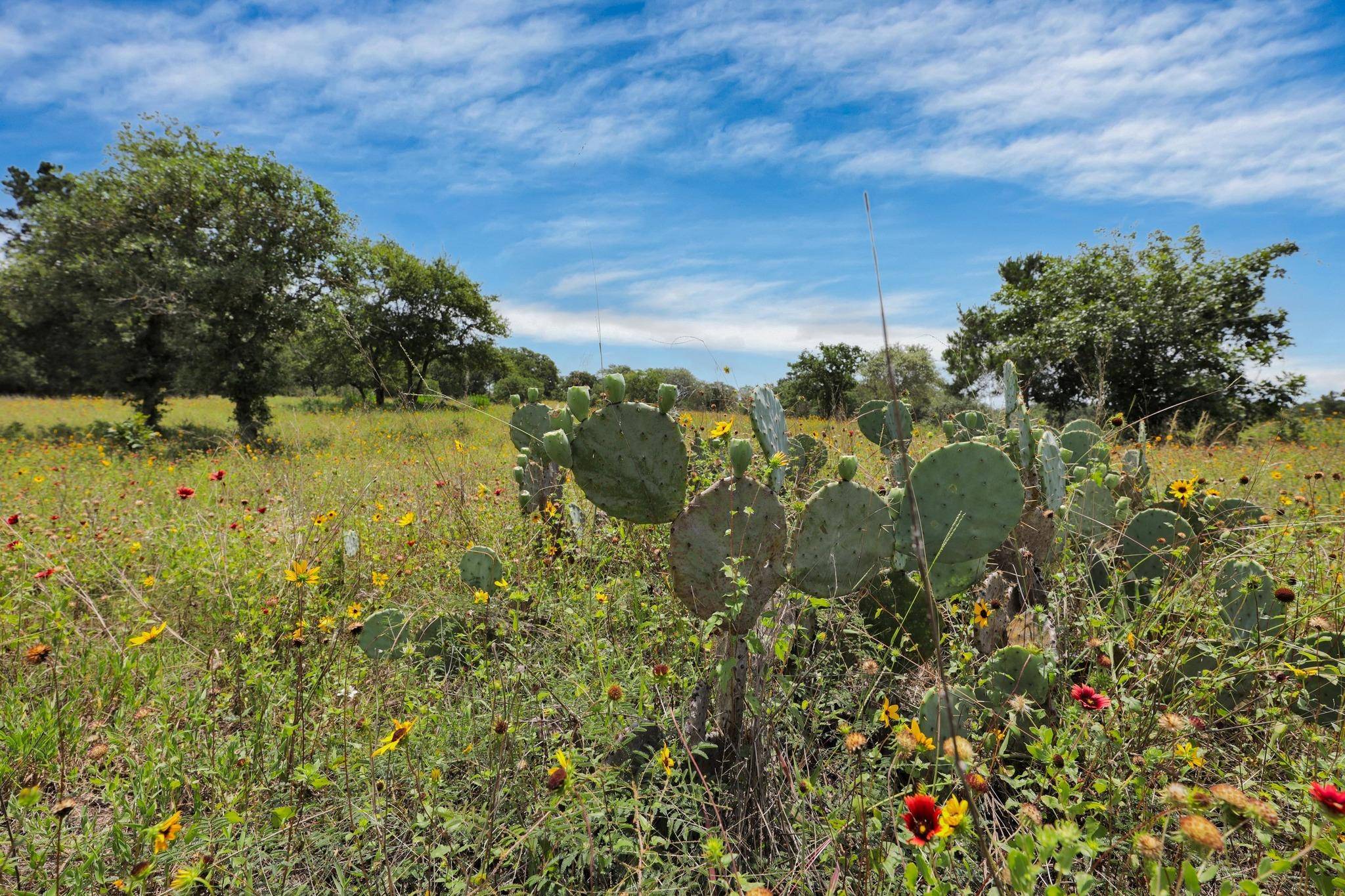 Rosanky, TX 78953,234 Sandy RD
