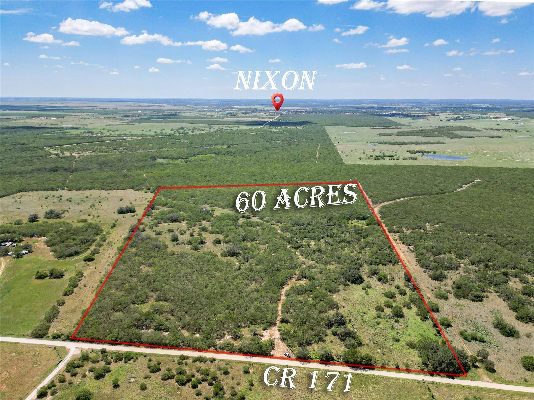 Nixon, TX 78140,TBD County Rd 171 RD