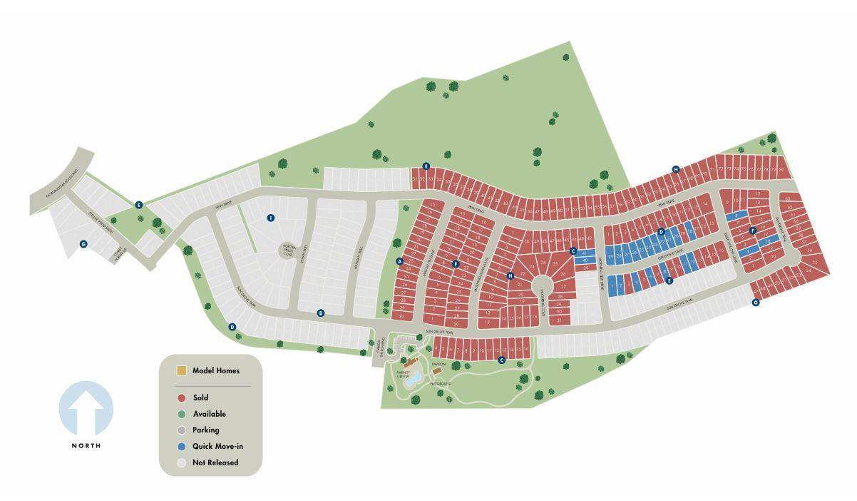 Andice, TX 78628,804 Sun Grove TRL