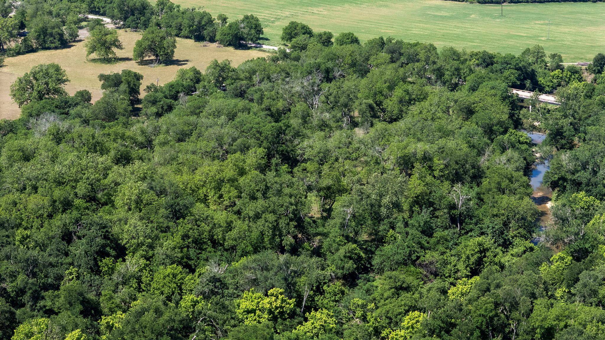 Hutto, TX 78634,451 County Road 129