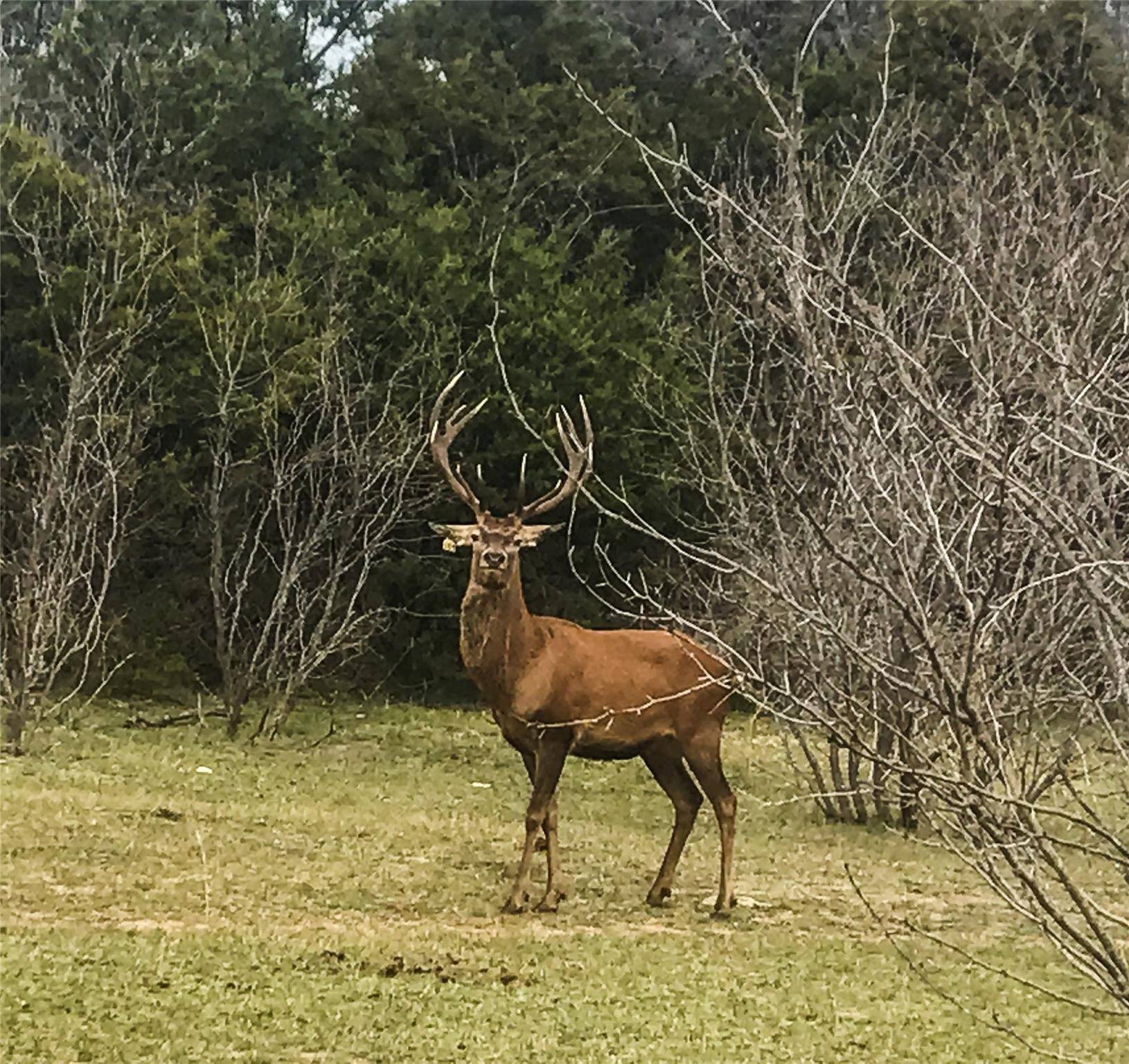 Lampasas, TX 76550,Address not disclosed