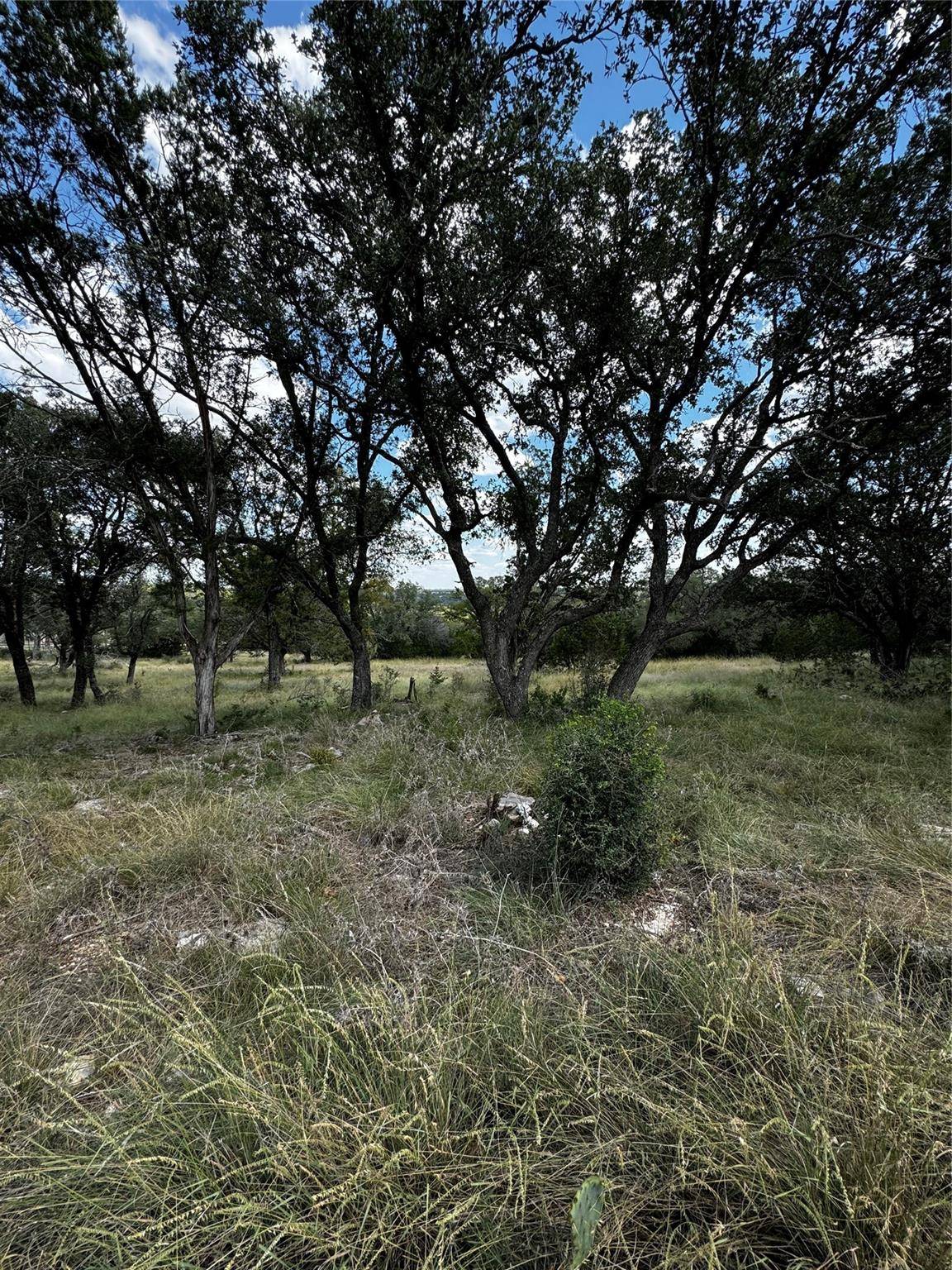 San Saba, TX 76877,LOT 89 WHITETAIL TRAIL