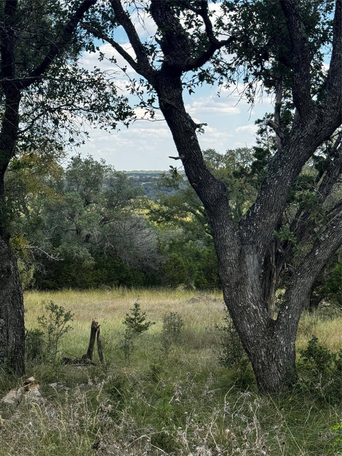 San Saba, TX 76877,LOT 89 WHITETAIL TRAIL