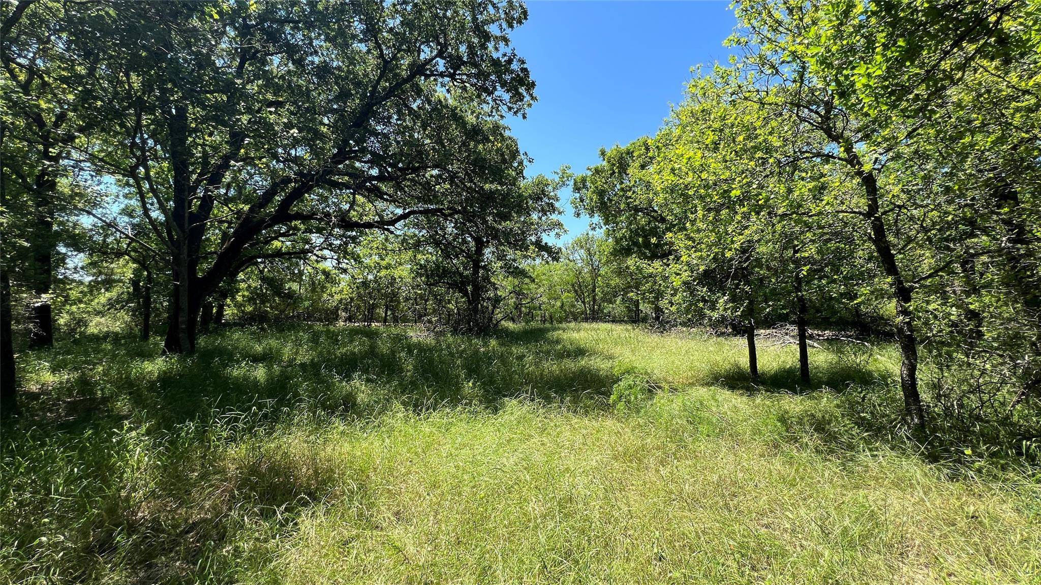 Buckholts, TX 76518,0000 CR 120