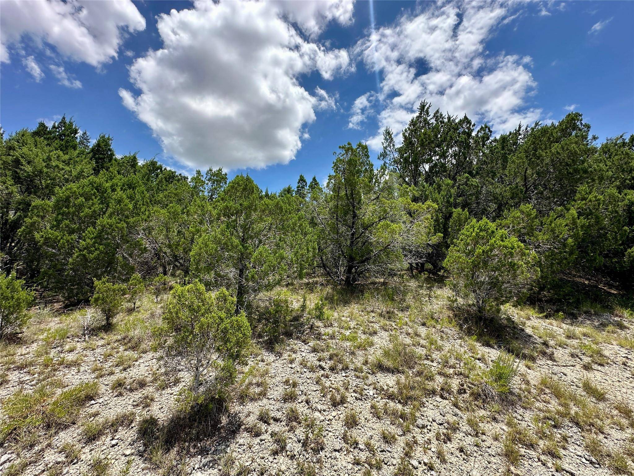 Lago Vista, TX 78645,8316 Bronco LN