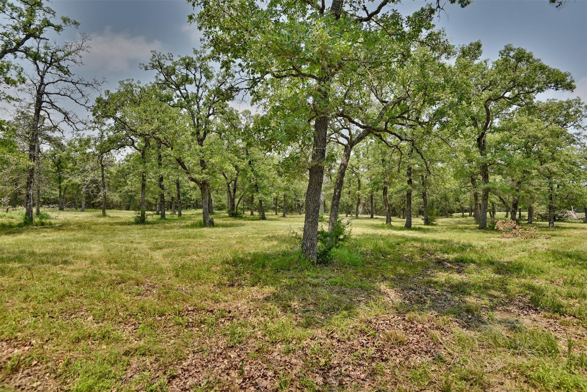 Ledbetter, TX 78946,2001 Wildwood RD