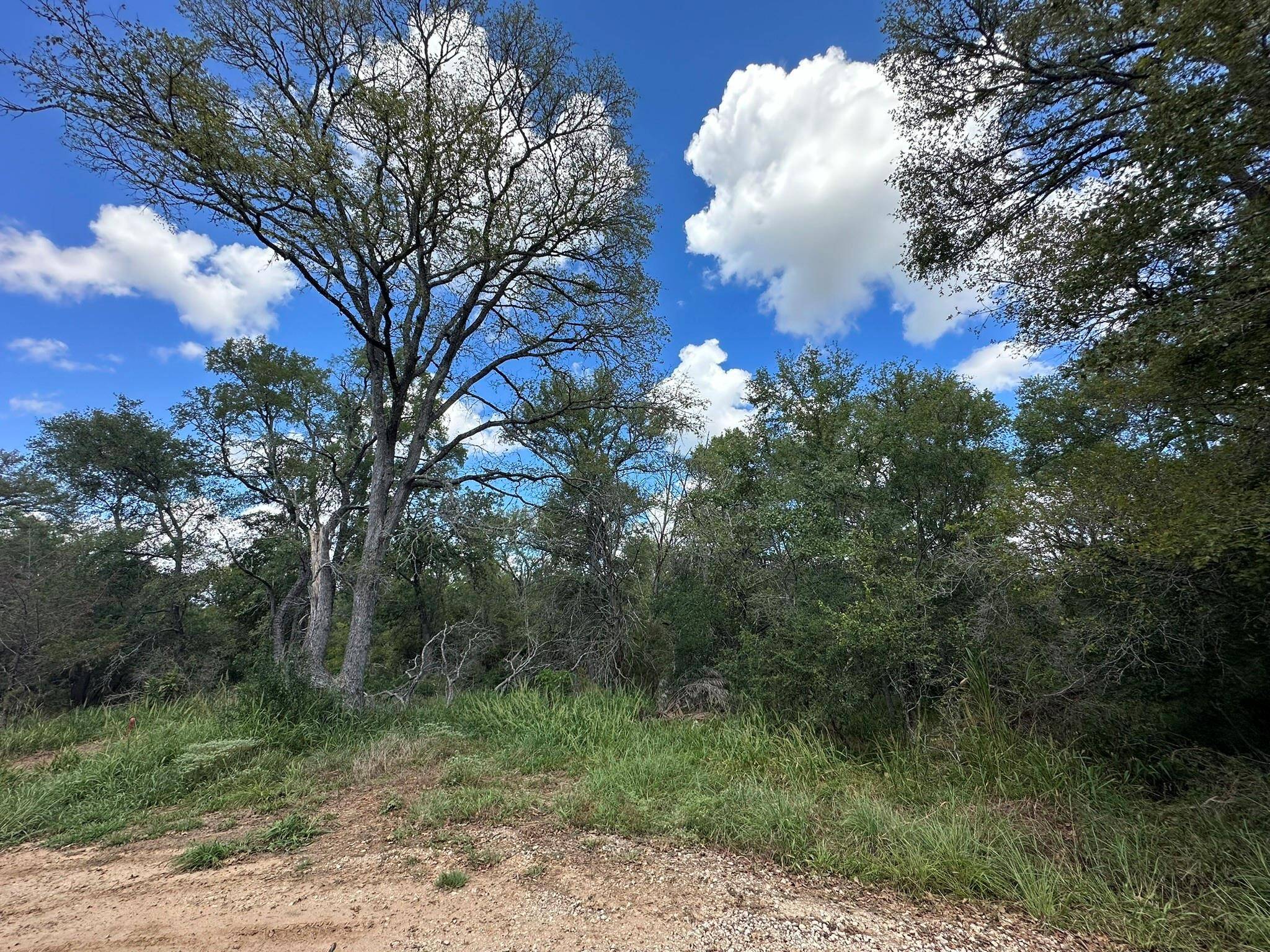 Bastrop, TX 78602,Lot 625 Hilea CT