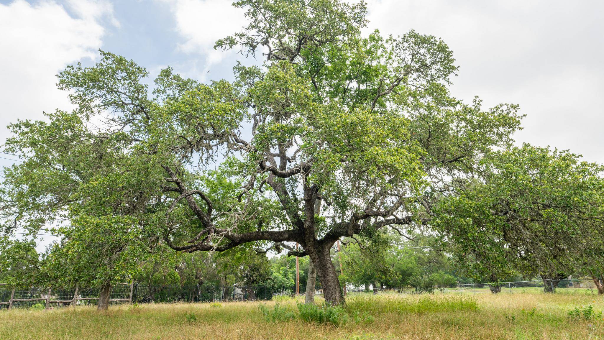 San Marcos, TX 78666,TBD LOT 1 OLD RR 12