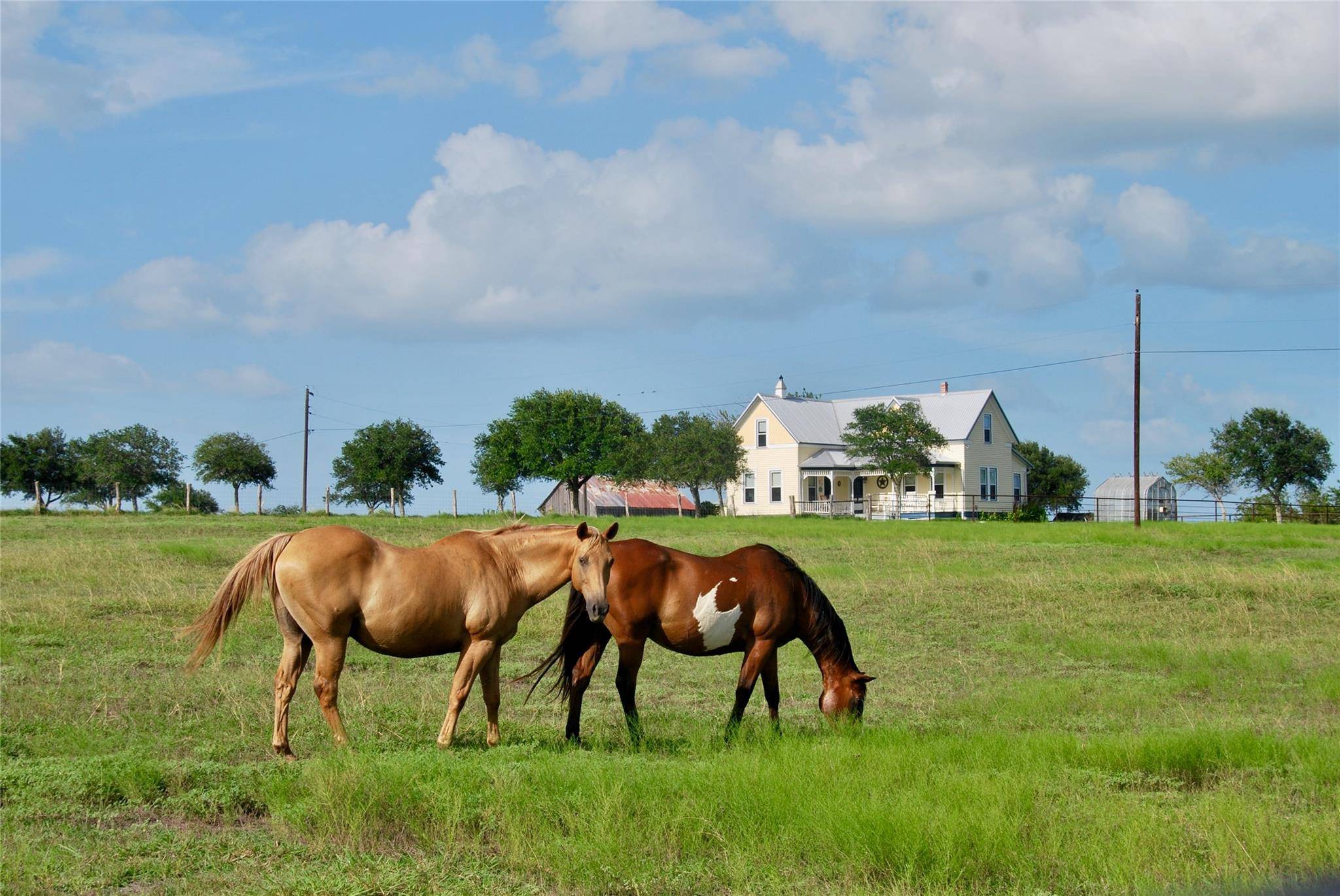 Shiner, TX 78954,381 County Road 291