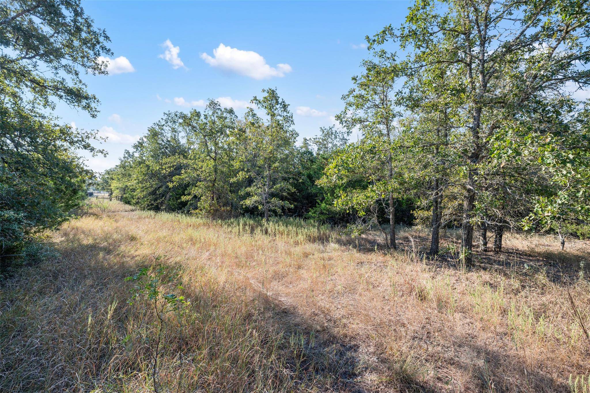 Cedar Creek, TX 78602,R32881 McDonald LN W