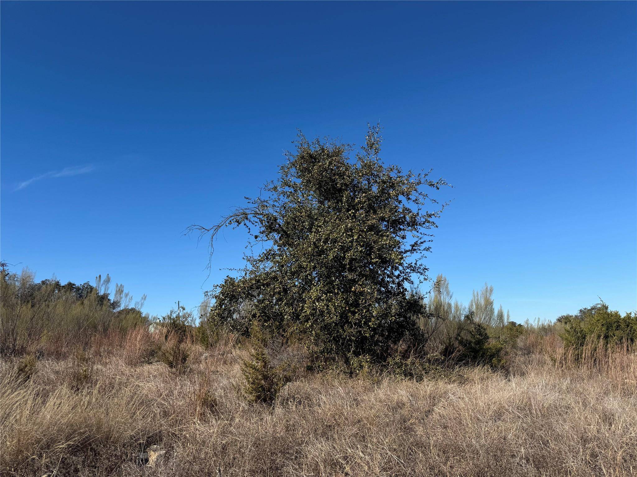 Bertram, TX 78605,230 Three Creeks DR