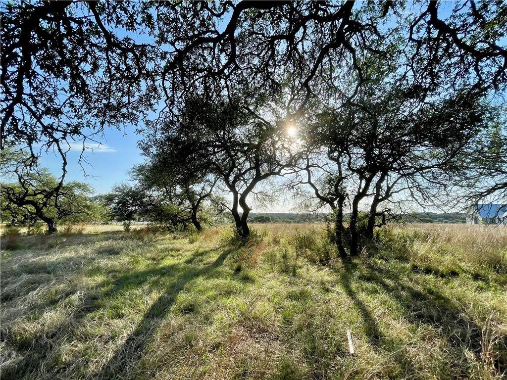 Dripping Springs, TX 78620,Lot 9 Medlin Creek LOOP