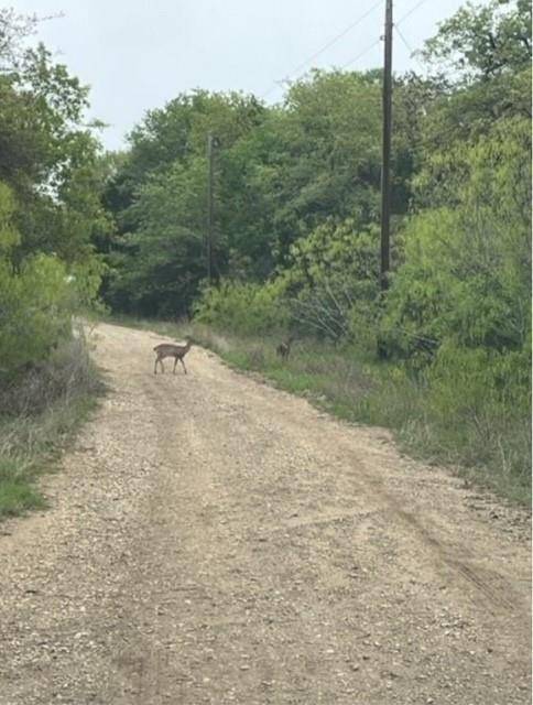 Bastrop, TX 78602,Lot 755 Bali Hai LN