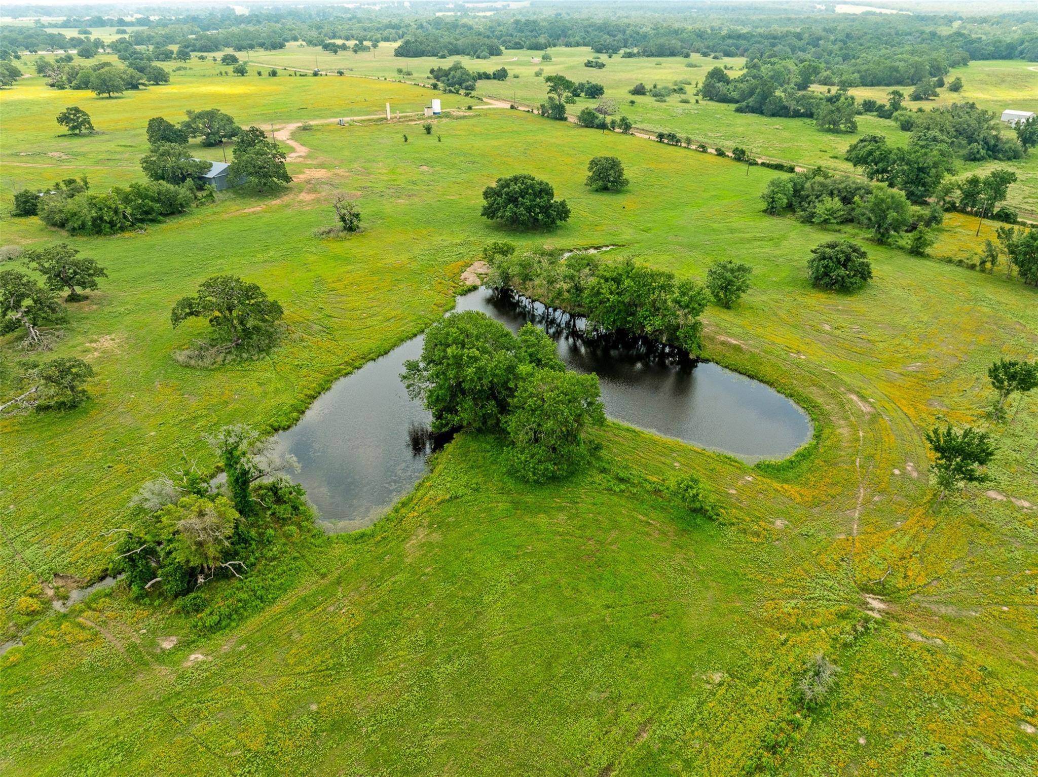 Giddings, TX 78942,TBD FM 141