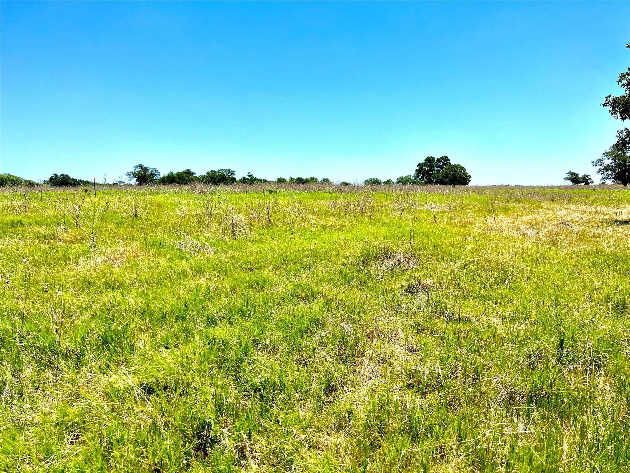 Luling, TX 78648,TBD Tract 3 tenney creek RD