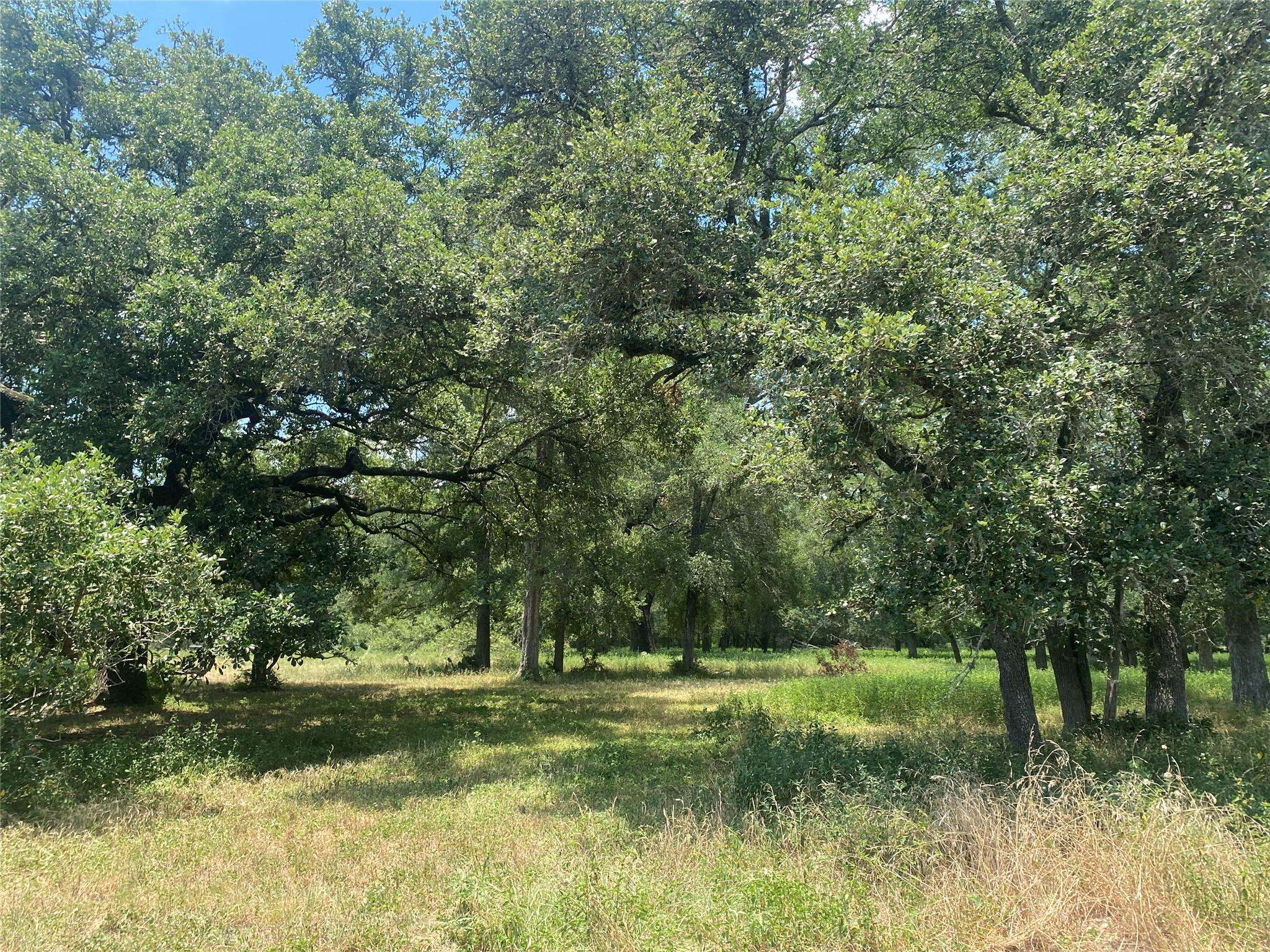 La Grange, TX 78945,2477 State Highway 159