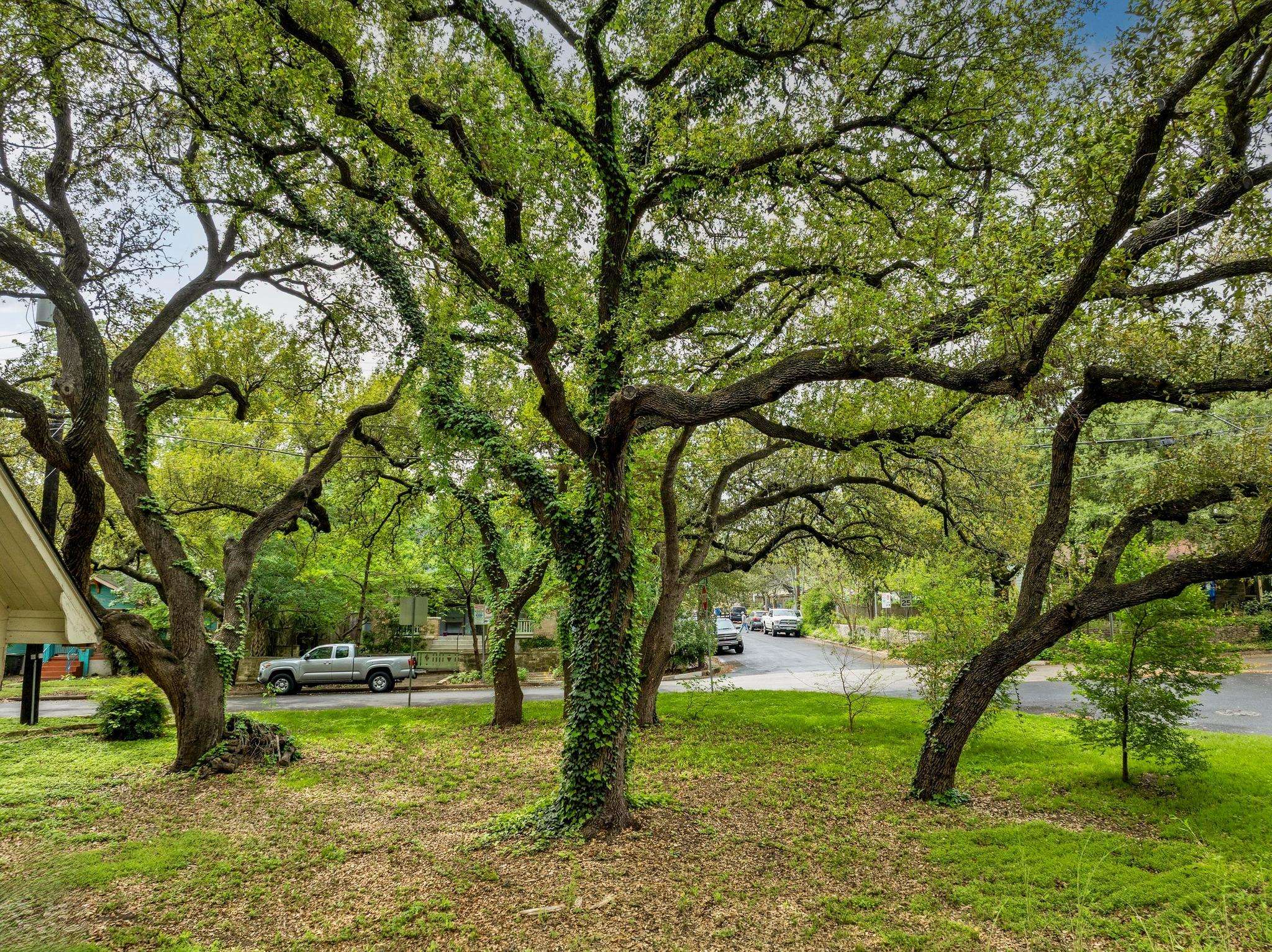 Austin, TX 78704,1402 Hillside Ave