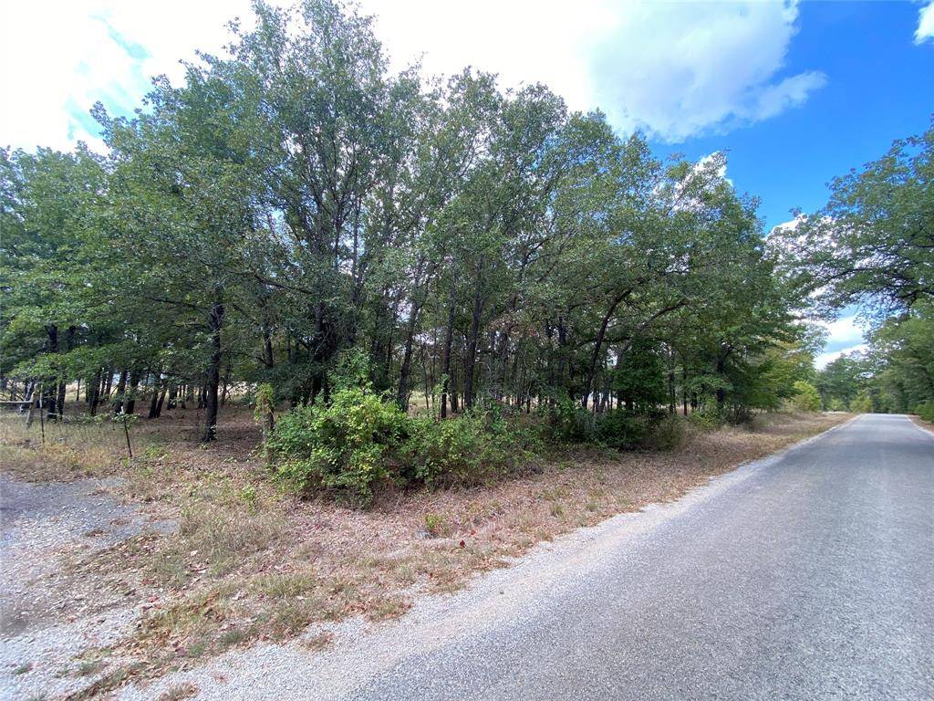 Paige, TX 78659,119 Lois LN