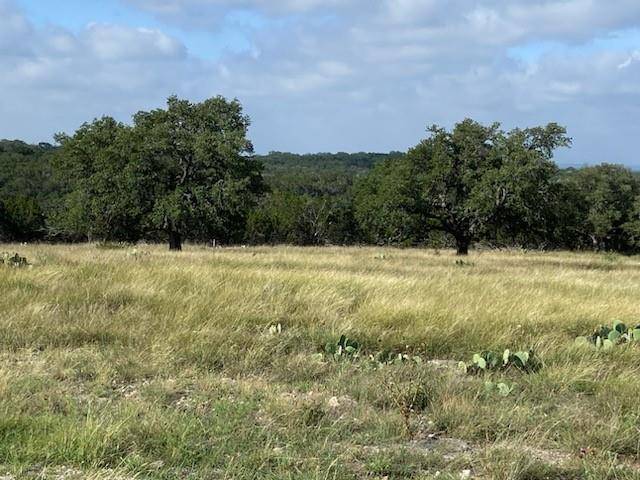 Harper, TX 78631,Lot 63 Tablerock DR