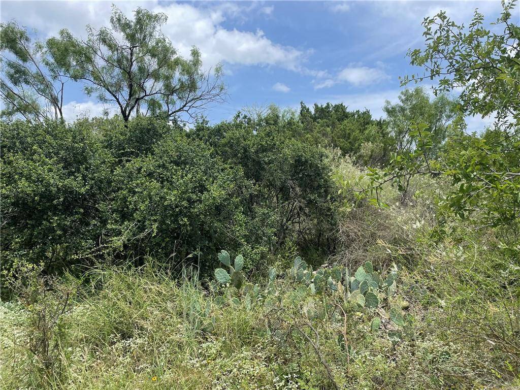 Granite Shoals, TX 78654,Lots 112-113 Cedar HL