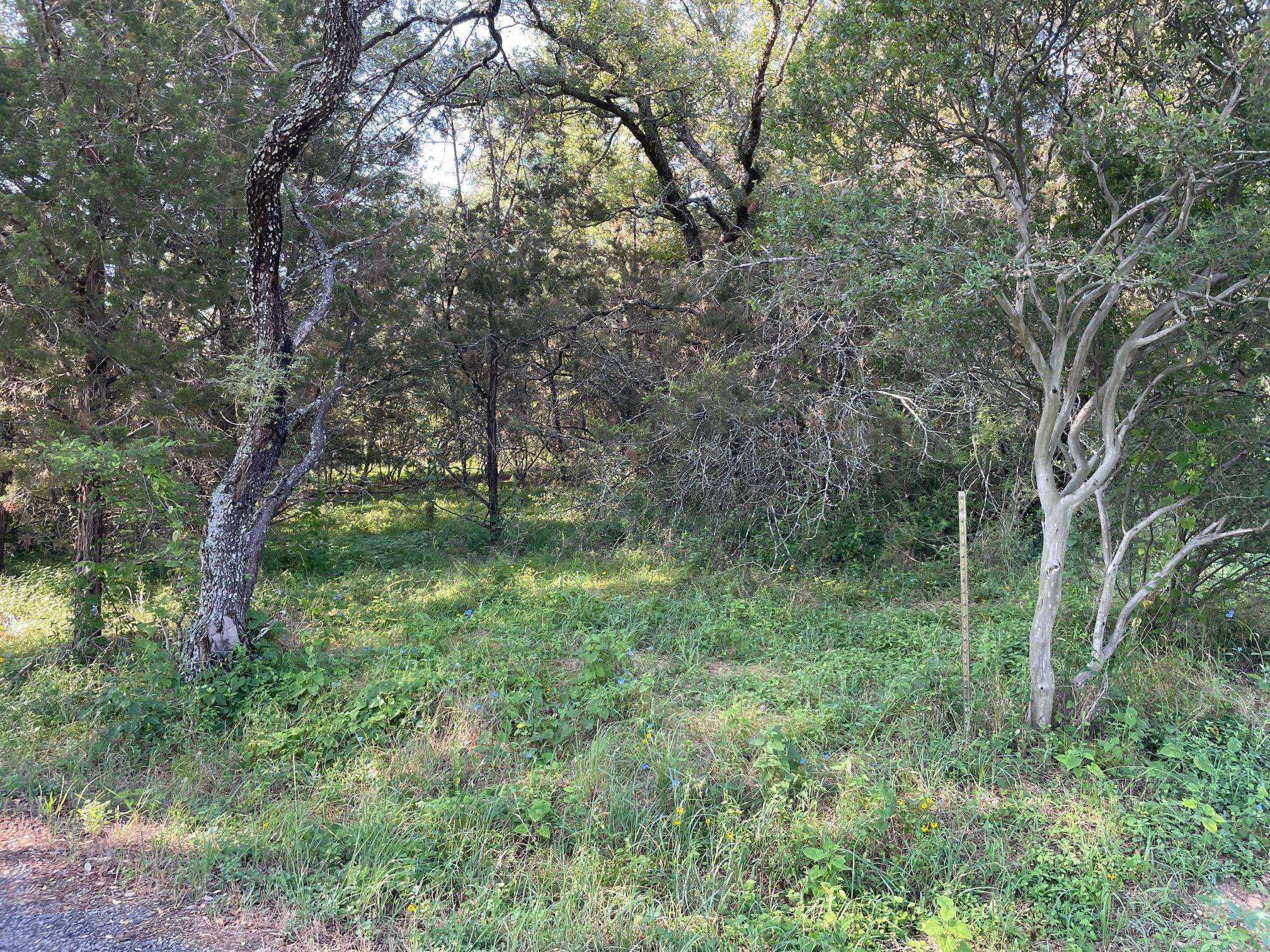 Spicewood, TX 78669,Lot 423 Indian Summer