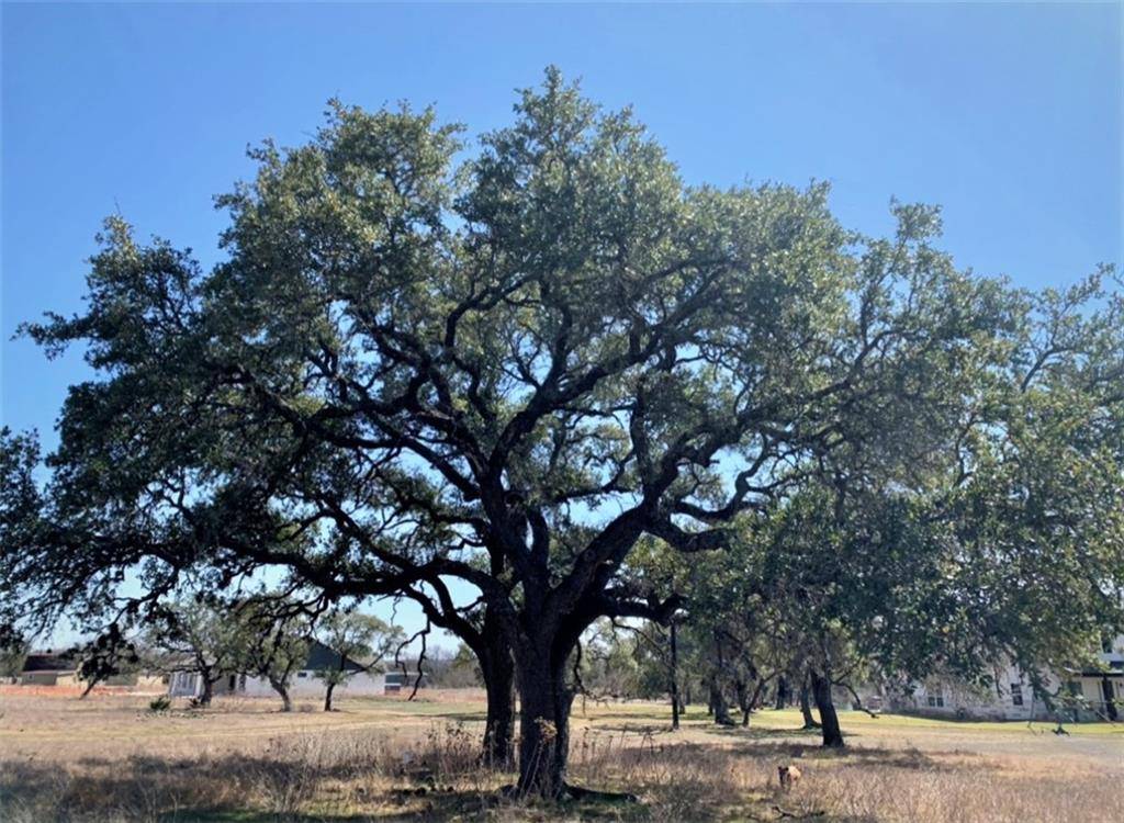 Liberty Hill, TX 78642,791 County Road 207 RD